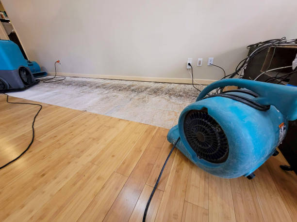 Professional Flood Damage Cleanup technician working in Daniels, WV